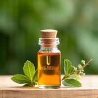 Small vial of bakuchiol oil next to a plant sprig, representing natural retinol alternative.
