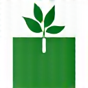 Eco-friendly packaging icon