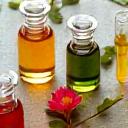 Vibrant plant extracts in small vials, surrounded by fresh herbs and flowers.
